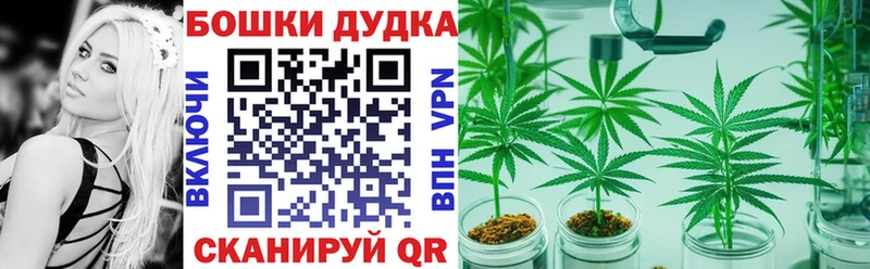 МЕФ Дубовка