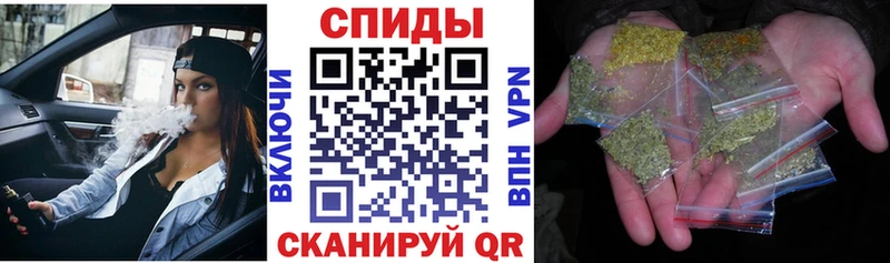 Бутират буратино блэк спрут ссылки Дубовка
