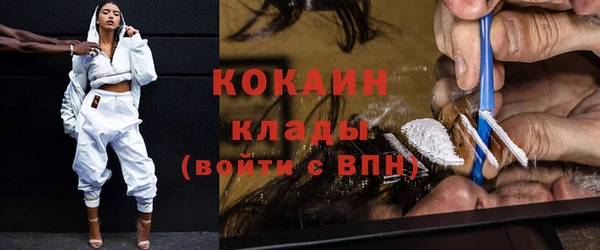гидра Абаза