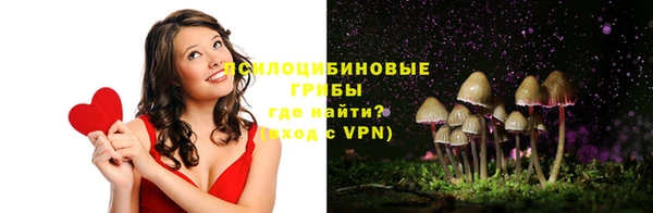 мдпв Рославль
