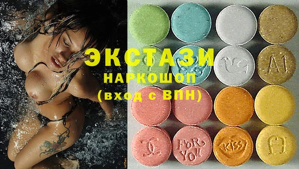 мдпв Рославль