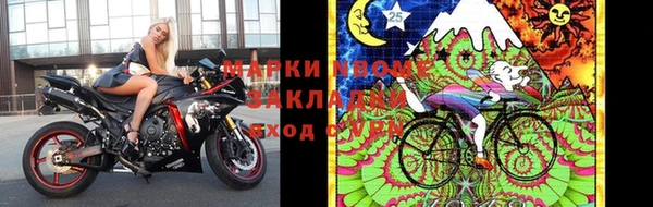гидра Абаза