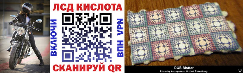хочу наркоту  Дубовка  Марки 25I-NBOMe 1500мкг 